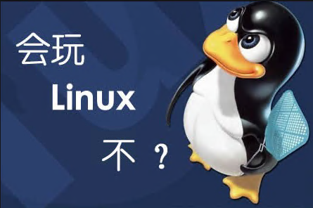 服务器系统哪个好之Linux系统