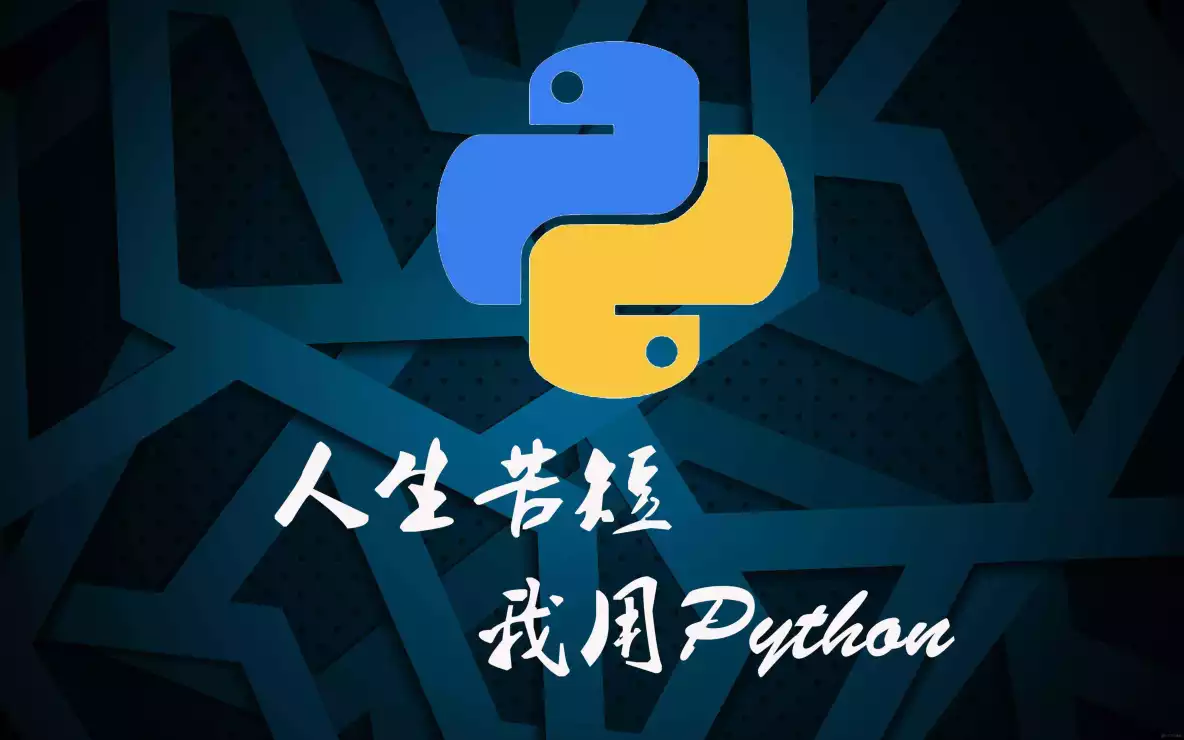 30天Python入门到进阶——第7天：函数_python