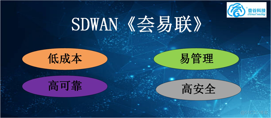 SD-WAN能否替代 VPN:对比分析_网络安全_03