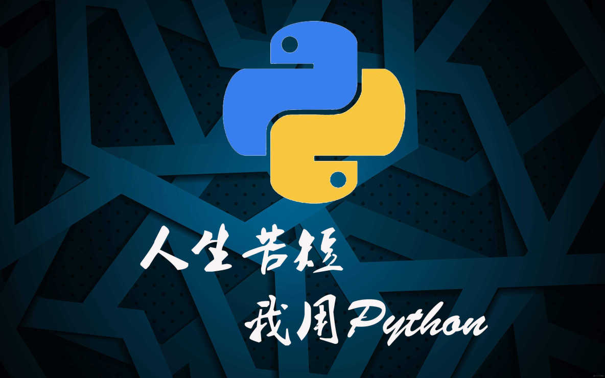 30天Python入门到进阶——第2天：数据类型（Ⅰ）_python教程