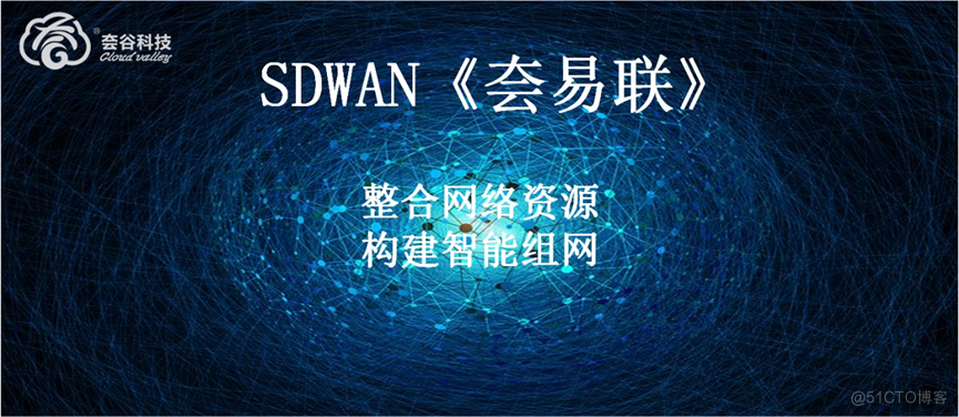 互联网突破和 SD-WAN_网络安全_02