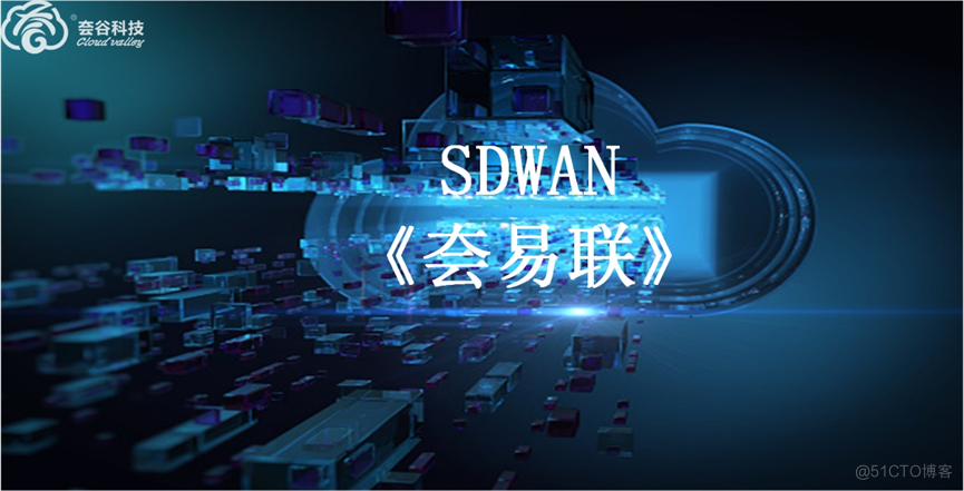 SDWAN优化金融行业网络架构_网络运维
