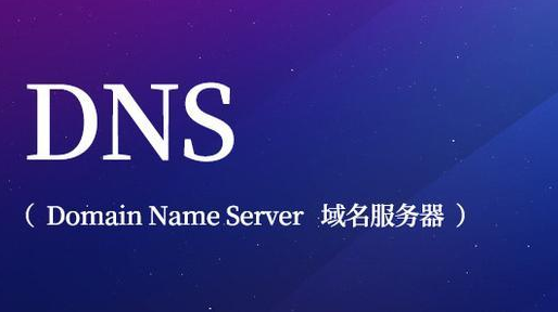 DNS服务器地址是什么