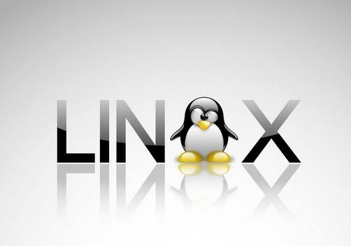 在Linux云主机上如何创建虚拟机？
